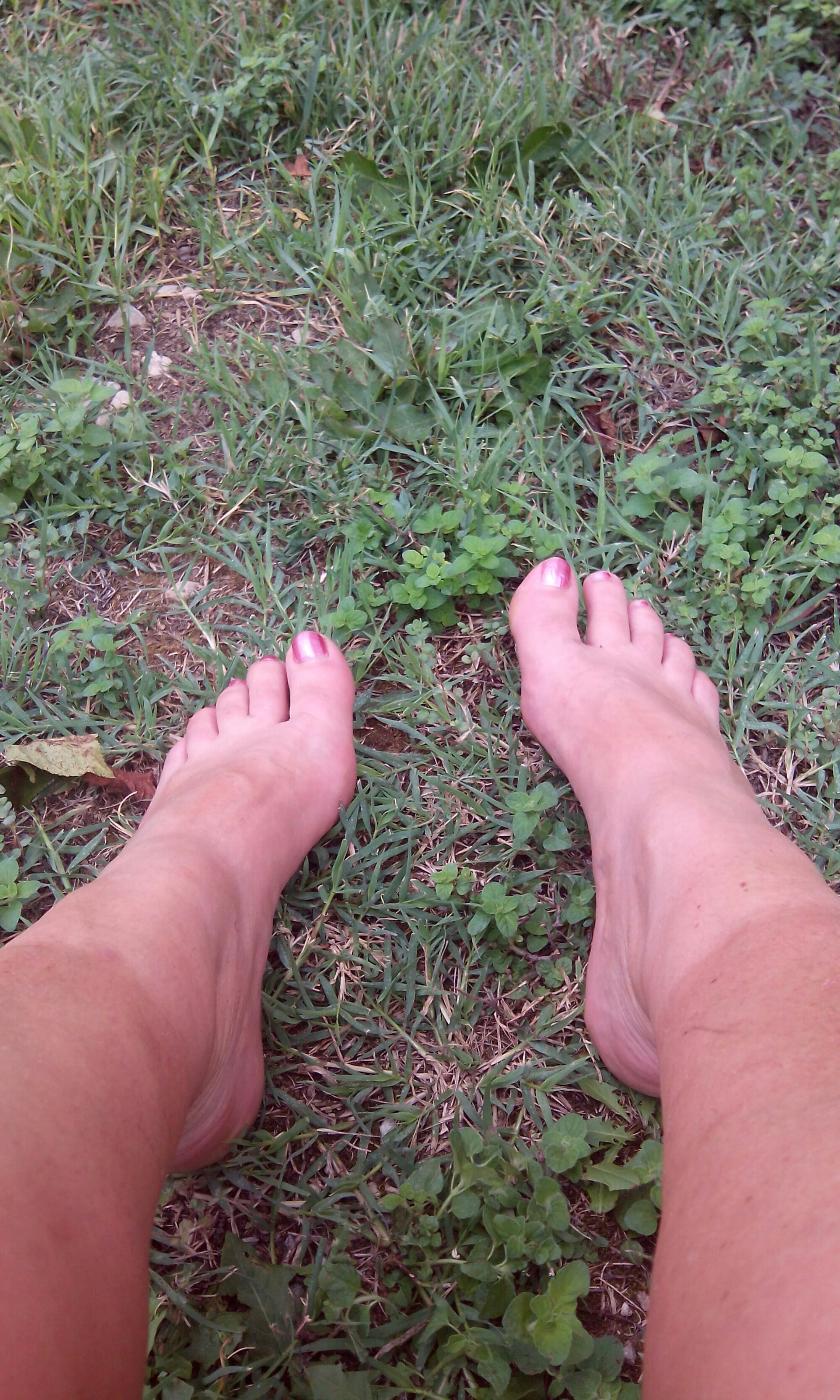 wp-1442496481853 image