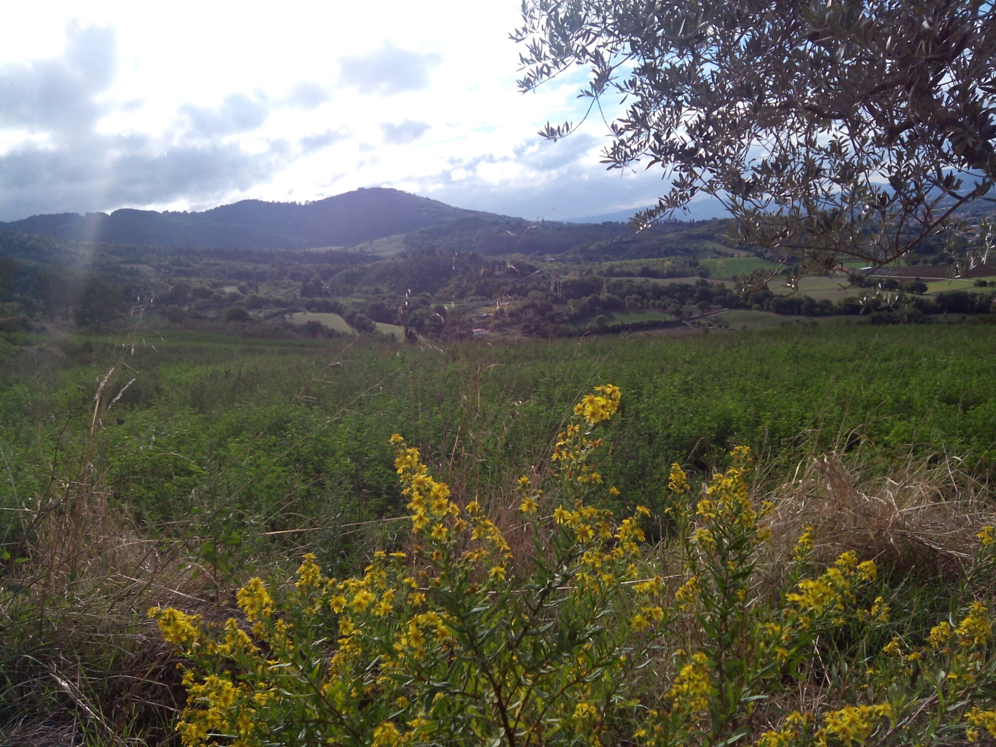 wp-1443288390305 image