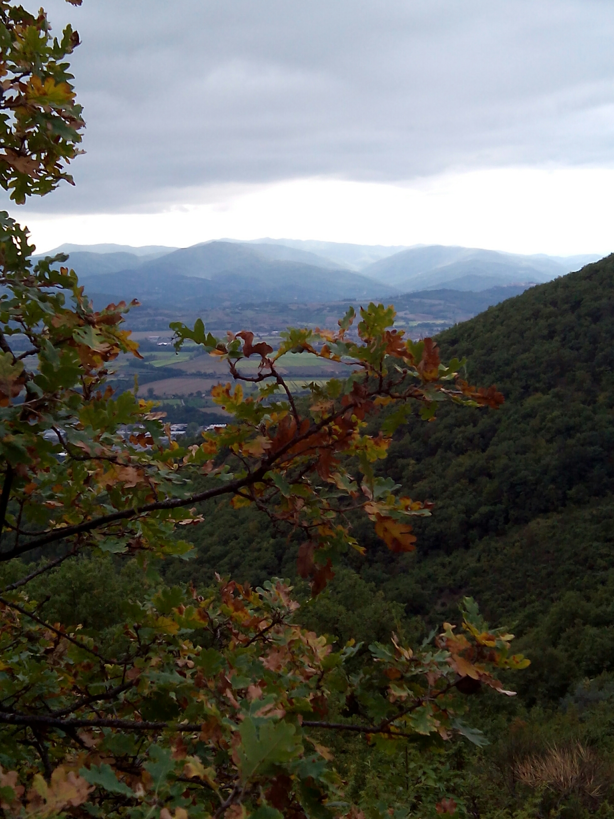 wp-1443288639044 image