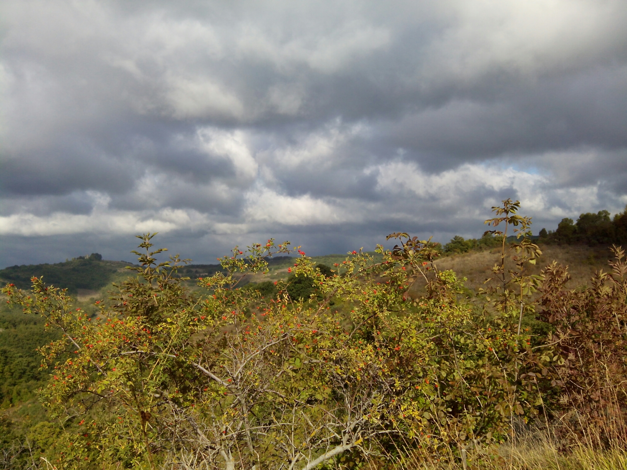 wp-1443547715215 image