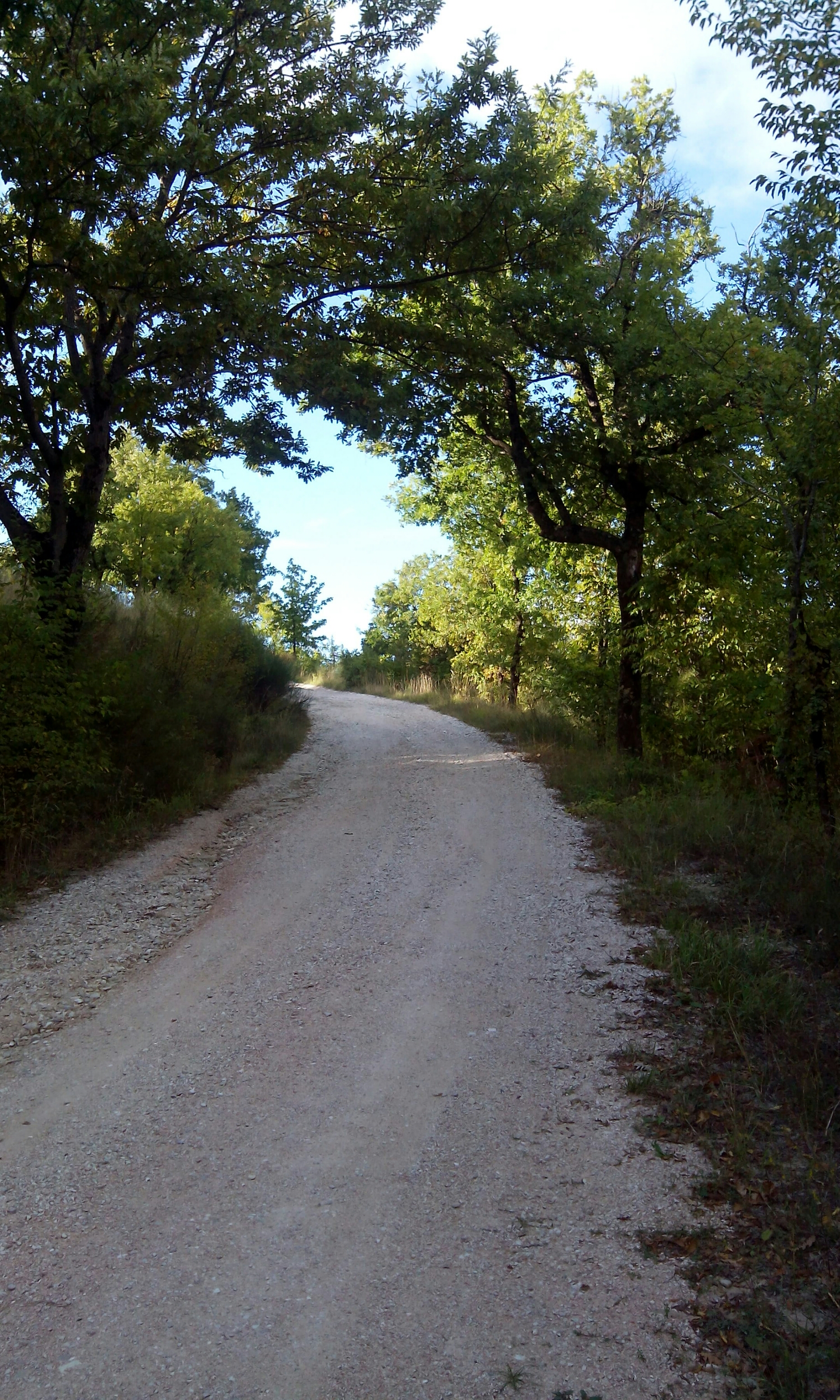 wp-1443547738015 image